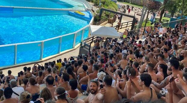 Covid, chiuso lo Zoomarine: «Norme anti-virus non rispettate». Parco fermo  5 giorni - Il Mattino.it