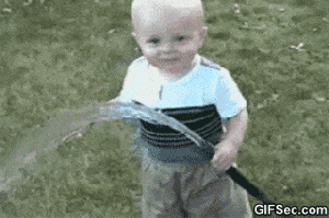 giphy-5.gif?fit=300,199