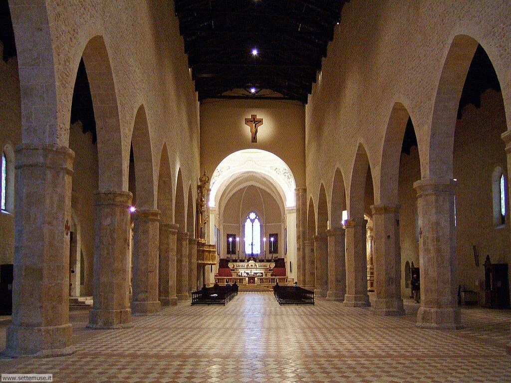 arte_aquila_004_s_maria_collemaggio.jpg