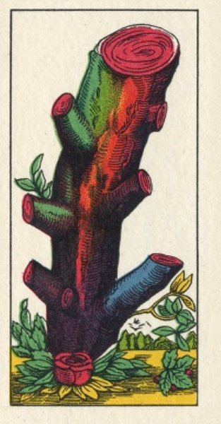 Corso di Cartomanzia: le carte napoletane o le piacentine, il seme di  bastoni - Amore Tarocchi