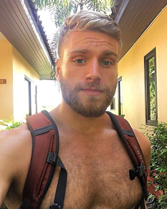 Risultato immagini per blonde beard gay