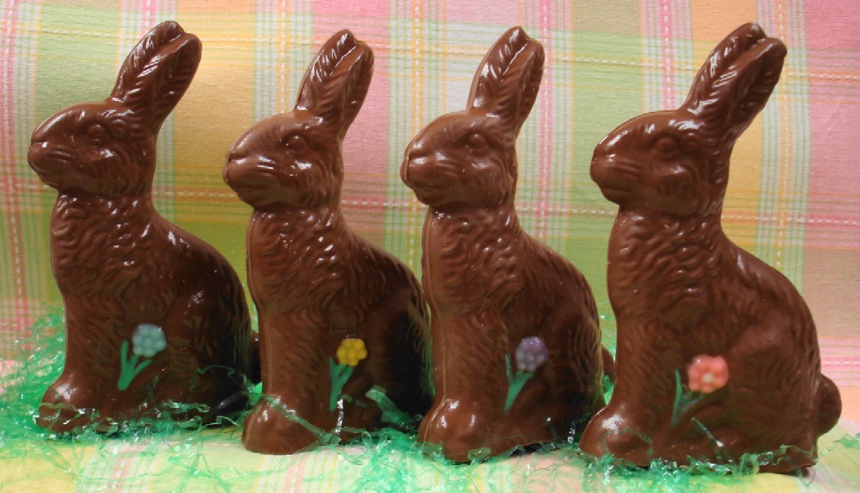 chocolate-classic-bunny-with-flower.jpg