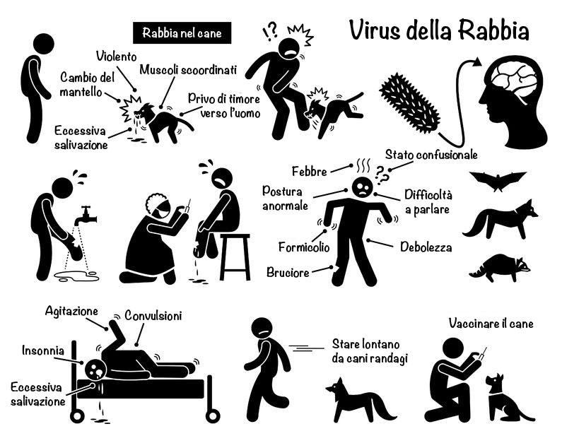 Rabbia canina trasmissibile all'uomo