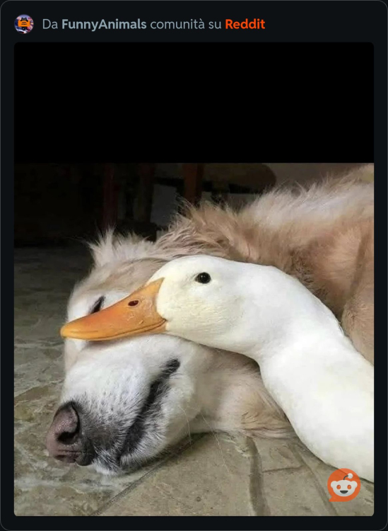 IMG_4376.thumb.jpeg.1b9268f5050cab0df18336b068102632.jpeg